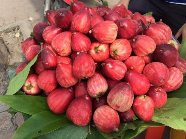 Xưa chín rụng đầy vườn không ai nhặt, giờ thành đặc sản có giá lên đến 70.000 đồng/kg