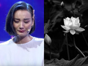 Giải trí - Vợ chồng Lê Thuý - Đỗ An đổi ảnh đại diện đen vì COVID-19, nhiều sao Việt vào động viên