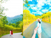 Xem ăn chơi - Phát hiện con đường “sống ảo” cực đẹp ở Yên Tử - Quảng Ninh, người bản địa còn ít biết