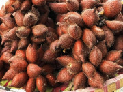 Xem ăn chơi - Xưa mọc hoang dại không ai vặt, giờ thành đặc sản nức tiếng với giá lên đến 150.000 đồng/kg