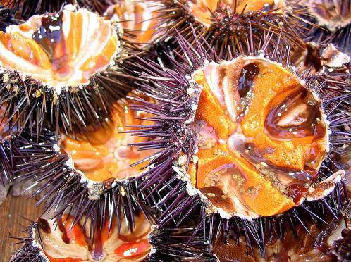 Đặc sản ở Việt Nam ai nhìn cũng thấy kinh hãi, giá tiền triệu dân nhậu vẫn lùng mua - 3