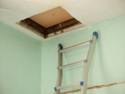 Tin tức - Suốt nhiều tháng nghe thấy tiếng động trên mái nhà, cô gái bàng hoàng khi lên kiểm tra