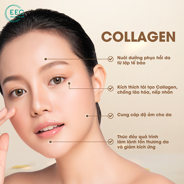 Pure Collagen: 4 tác động vượt trội, xuất xứ từ Ý đáp ứng nhu cầu phụ nữ Việt - 4