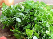Bà bầu - Bà bầu ăn rau càng cua được không và ăn bao nhiêu thì tốt?