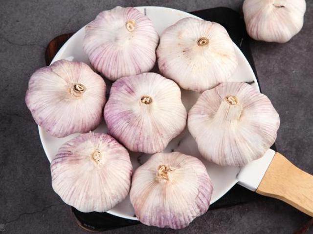 5 cách bảo quản tỏi đơn giản, có cách không ai ngờ tới, tỏi để lâu không hỏng