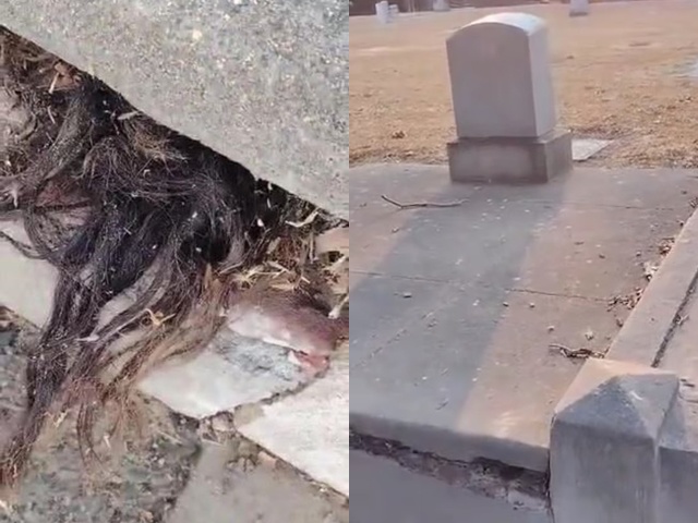 Thấy nhúm tóc thò ra từ ngôi mộ 100 tuổi, người đàn ông hốt hoảng khi quay trở lại