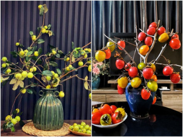 Mẹ Hà Nội săn lùng loại quả trên núi, cắm thay hoa siêu sang, đợi chín có thể ăn luôn