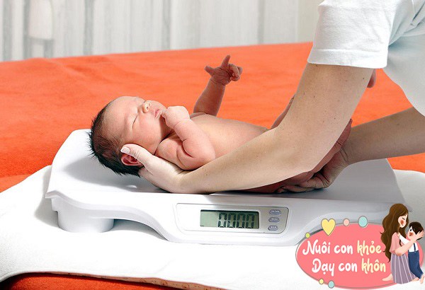 Đại học Harvard: Cân nặng trẻ sơ sinh càng gần với con số này, bé càng thông minh - 4