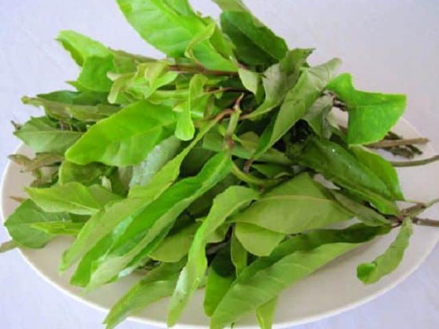 Xưa có đầy không ai hái, giờ thành đặc sản nổi tiếng được các nhà hàng săn lùng ráo riết