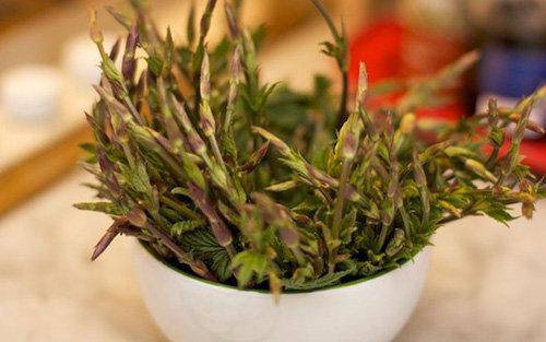 Tuy nhiên, trong thời điểm hiện tại, loại thảo mộc tầm thường này lại được coi là loại rau đắt nhất thế giới.