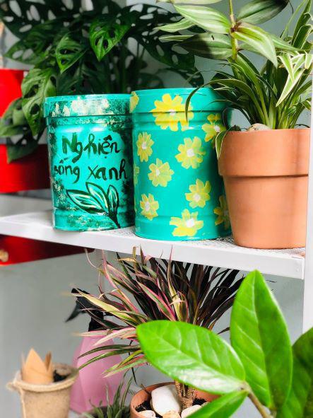 Khu vườn Nghiện Sống Xanh của chị Quyên