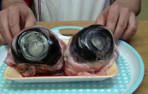 Đặc sản mệnh danh “đèn pha đại dương” nhìn ghê rợn thách bạn dám ăn, ăn được lại nghiện - 1