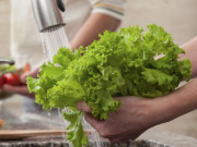Sức khỏe - Rau xà lách: Công dụng và những lưu ý khi ăn để tránh nhiễm giun sán
