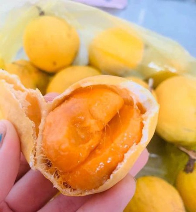 Quả rừng lạ lẫm xưa ít người biết, nay là đặc sản hiếm 210.000 đồng/kg ...