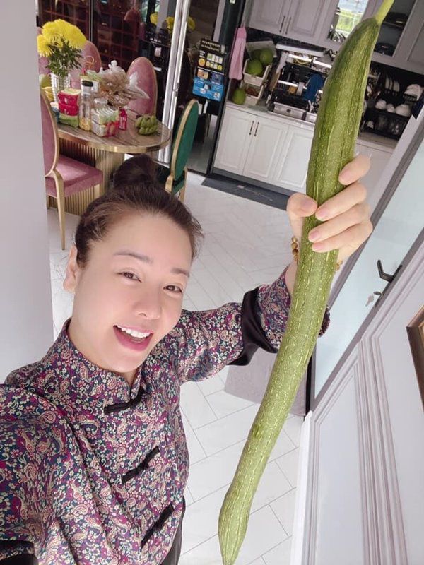 Mấy tháng nghỉ dịch ở nhà trồng rau, Nhật Kim Anh thu hoạch mướp dài gần bằng người - 12