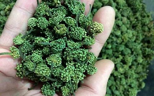 Dân Việt “xếp hàng” chờ cả tuần để đặt mua nụ của loài hoa này về làm rau ăn - 2