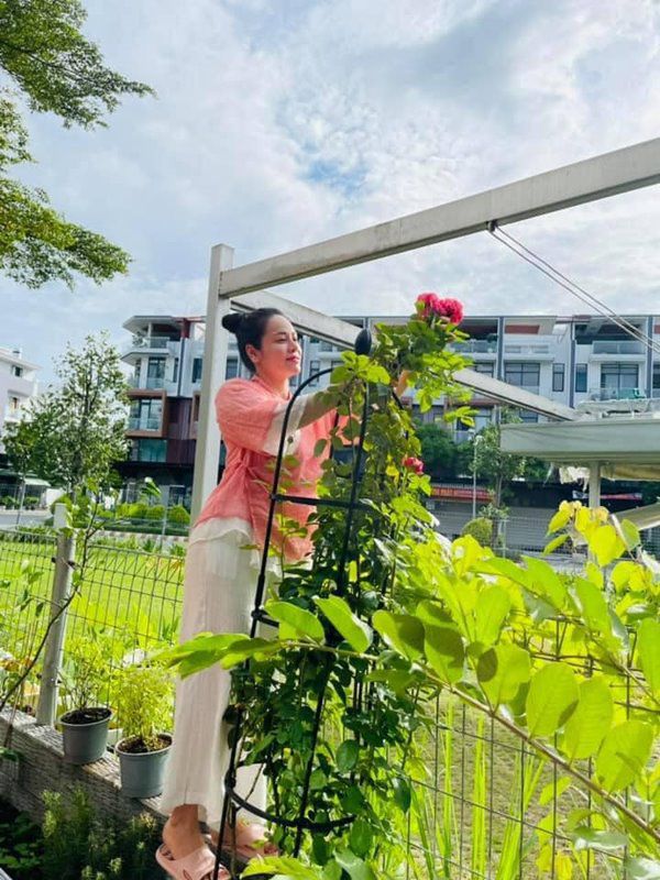 Mấy tháng nghỉ dịch ở nhà trồng rau, Nhật Kim Anh thu hoạch mướp dài gần bằng người - 16