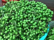 Tiêu dùng - Xưa mọc bạt ngàn không ai thèm hái, nay là đặc sản nức tiếng 120.000/kg được người giàu "săn lùng"