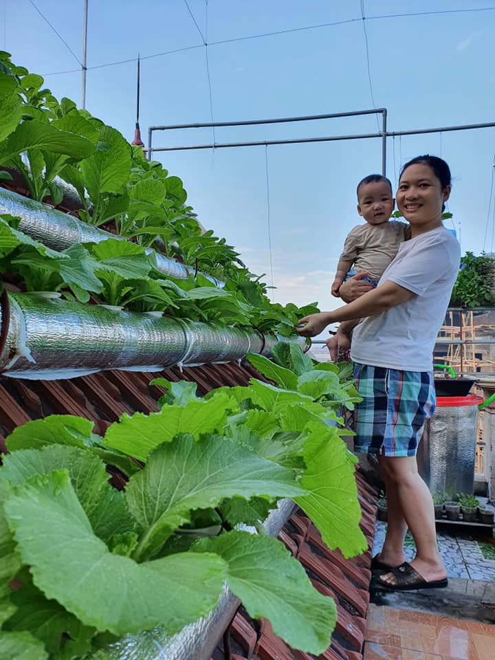 Cô giáo Thái Bình làm vườn 6m2 trên mái nhà, bội thu rau xanh mướt, chỉ tốn 2 triệu đồng - 6