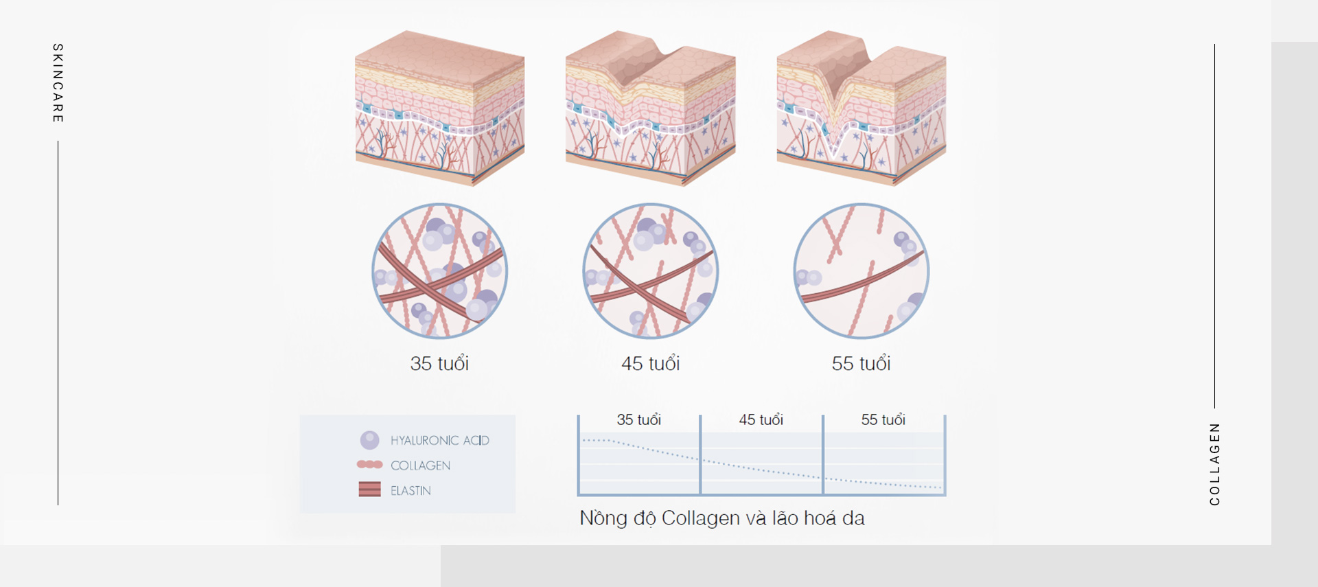 Da lão hóa đâu chỉ do tuổi tác, đáp án khiến chị em phải thay đổi thói quen hằng ngày - 7