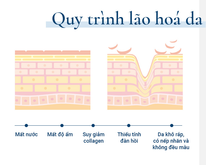 Da lão hóa đâu chỉ do tuổi tác, đáp án khiến chị em phải thay đổi thói quen hằng ngày - 30