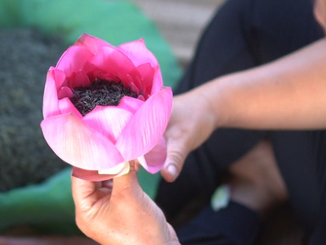 ‘Đệ nhất danh trà’ giá hàng chục triệu đồng/kg ở Hà Nội được làm như thế nào?