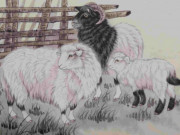 Eva tám - 3 con giáp này chính là ngôi sao may mắn của cha mẹ