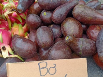 Đào, mận Trung Quốc ngập chợ, giá cao hơn hoa quả nội địa vẫn hút khách mua