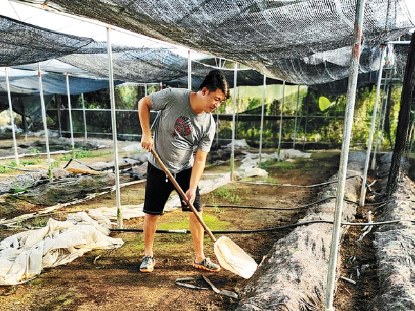 Chuồng trại chiếm 50% tỷ trọng thành công của nghề nuôi trùn quế.