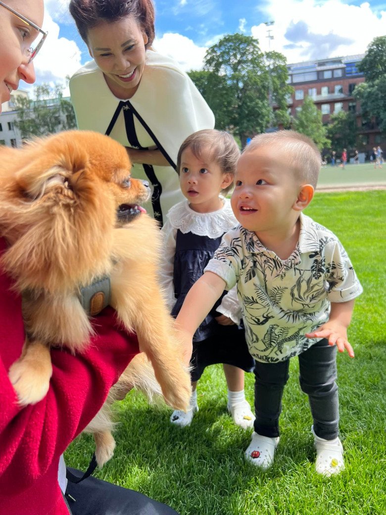 Leon nhà Hồ Ngọc Hà sang Thụy Điển vẫn thích trêu chó, biểu cảm thích thú quá đáng yêu - 3