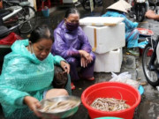 Tiêu dùng - Đặc sản ở Quảng Nam xưa nhà nghèo ăn "cứu đói", giá rẻ bèo, nay 750.000 đồng/kg có tiền chưa chắc đã mua được