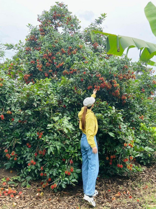 Hè này vi vu miền Tây với amp;#34;tour vườn trái câyamp;#34;: Cảnh đẹp nghìn like, còn được ăn ngon - 1
