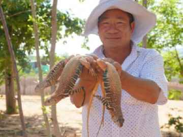 Nghề lạ ở Việt Nam: Nuôi loài lạ nhìn sợ khiếp vía, cho ăn rau cỏ, bán 700.000 đồng/kg thu hàng trăm triệu đồng