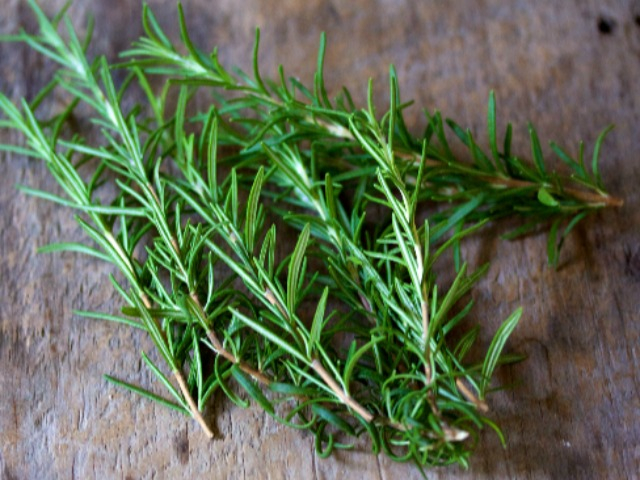 Cây hương thảo có tác dụng gì? Những tác hại của cây hương thảo ít người biết