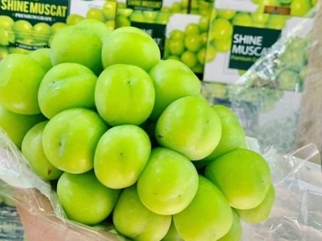 Bất ngờ nho sữa được bán đầy chợ Việt với giá chỉ từ 99 nghìn đồng/kg