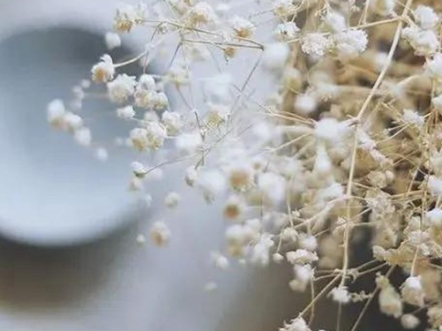 Với người không thích mình, nhớ 3 câu này và bạn đã chiến thắng