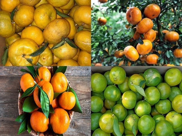 4 loại quả xưa có đầy ở quê, nay là đặc sản xuống phố, chị em nội trợ thích mê vì vừa ngon vừa bổ