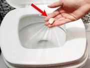 Nhà đẹp - Bỏ 1 tép tỏi vào bồn cầu để qua đêm, sáng hôm sau điều kỳ diệu sẽ xảy ra