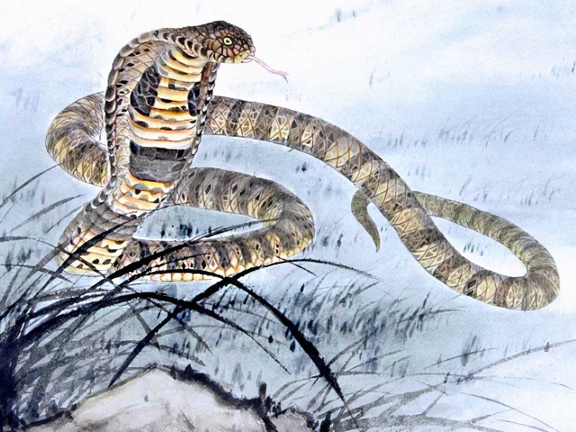 3 con giáp ít nói nhưng thông minh lanh lợi, rất có năng lực kiếm tiền