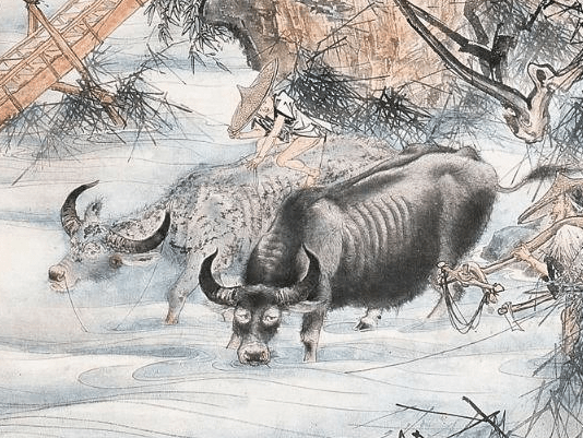 3 con giáp ít nói nhưng thông minh lanh lợi, rất có năng lực kiếm tiền - 1