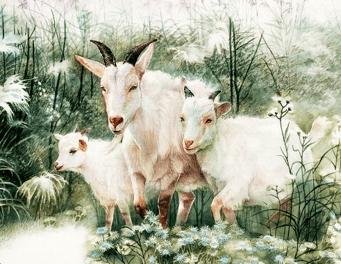 3 con giáp ít nói nhưng thông minh lanh lợi, rất có năng lực kiếm tiền - 4