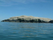 Xem ăn chơi - Hòn đảo “bốc mùi” nhất thế giới, chỉ có chim mới dám ở