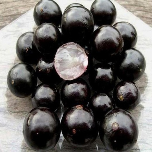 Quả không mọng nước, vị hơi chua ngọt, ăn cả vỏ sẽ rất chát.