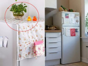 Nóc tủ lạnh hay đặt 3 thứ này, chẳng trách tài lộc thất thoát quanh năm