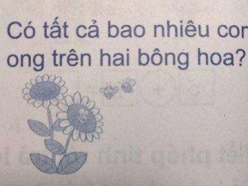 Phép tính 1+0=1 của học sinh tiểu học bị gạch sai nhưng nhìn kỹ ai cũng tấm tắc khen ngợi