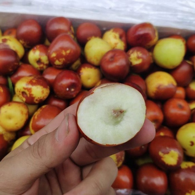 Cũng theo chị Ngọc Khánh, táo tàu tươi hiện được bày bán phổ biến ở 2 dạng là quả tươi hoặc sấy khô.