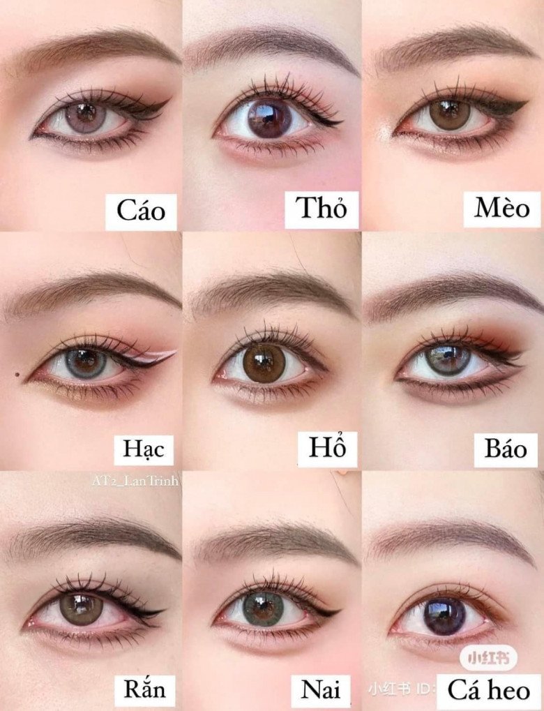 Với các chị em theo style ăn mặc bánh bèo cũng có thể tham khảo các dáng kẻ mắt khác như mắt nai, mắt cá heo, mắt thỏ,...