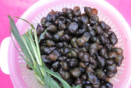 Đặc sản chỉ có ở miền Tây, nghe tên đắng ngắt nhưng nổi tiếng thơm ngon, 130.000đồng/kg không mấy ai được thưởng thức - 3