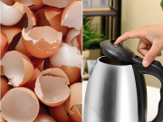 Đừng vứt vỏ trứng đi mà hãy ném vào ấm điện, một lúc sau điều bất ngờ sẽ xảy ra