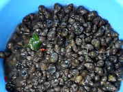 Tiêu dùng - Đặc sản chỉ có ở miền Tây, nghe tên đắng ngắt nhưng nổi tiếng thơm ngon, 130.000đồng/kg không mấy ai được thưởng thức